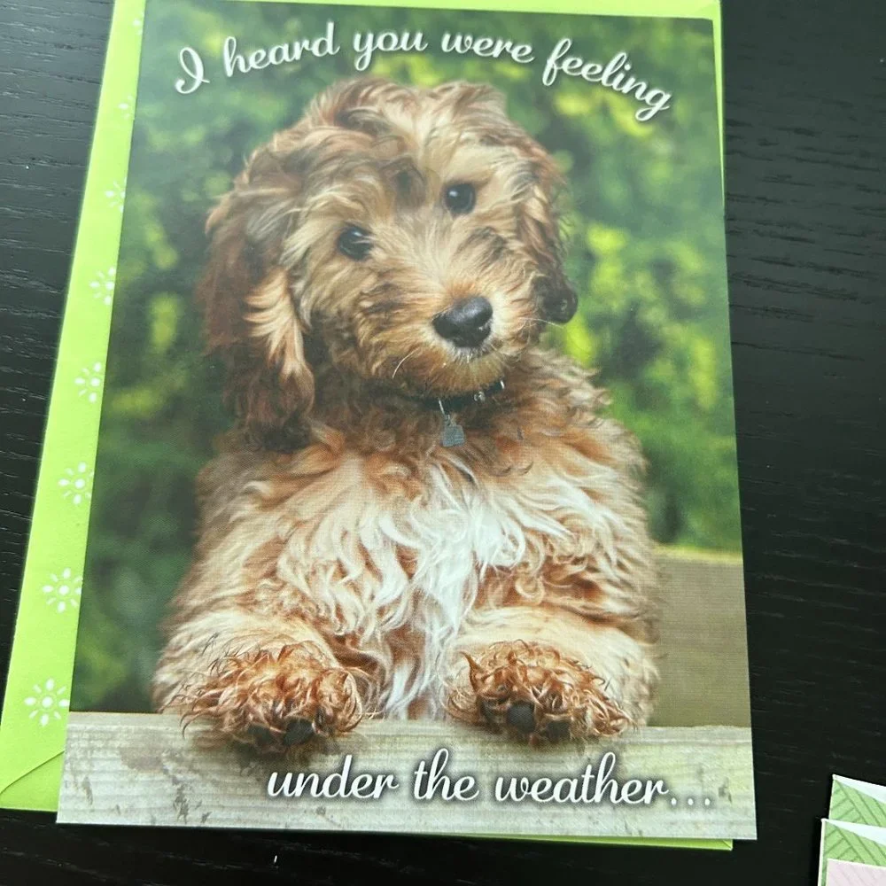 Mixed Lot of 28 Greeting Cards w/ Envelope Dogs Puppies Cats Kittens and Birds